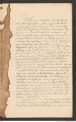 Nachlass Franz Steindachner, Prospect der Adria-Commission (Mai 1874), Inv.Nr. 4.01, Seite 3